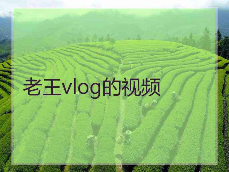 老王vlog的视频
