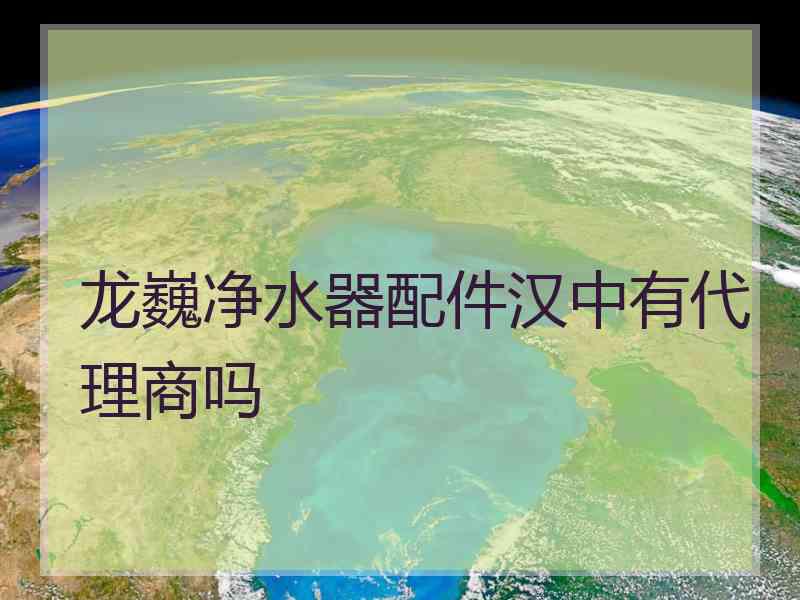 龙巍净水器配件汉中有代理商吗