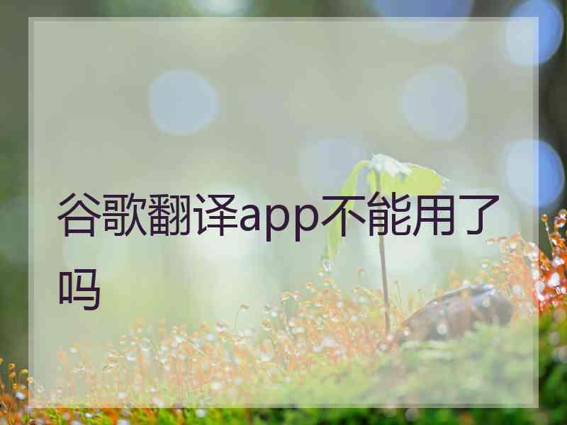 谷歌翻译app不能用了吗