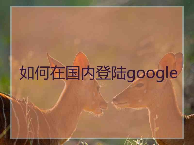 如何在国内登陆google