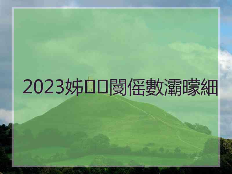 2023姊閿傜數灞曚細