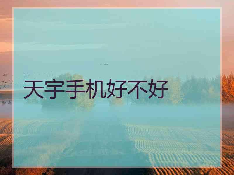 天宇手机好不好
