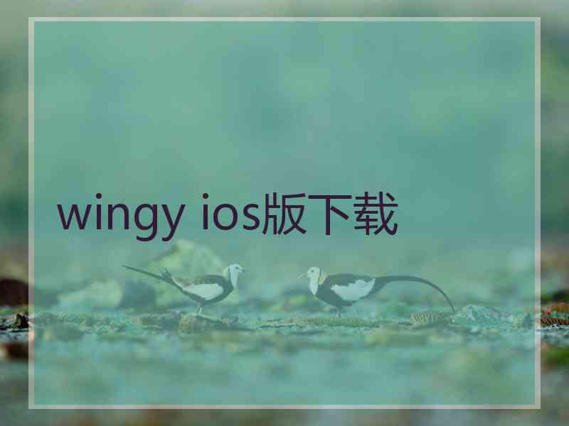 wingy ios版下载