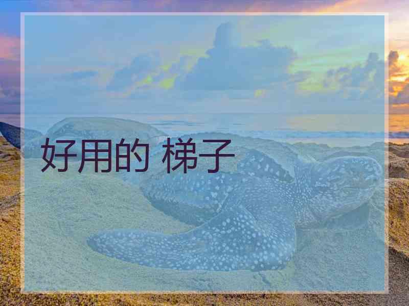 好用的 梯子