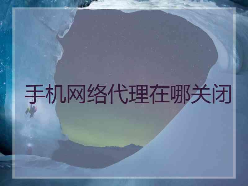 手机网络代理在哪关闭