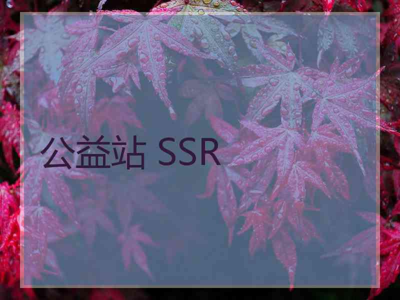 公益站 SSR