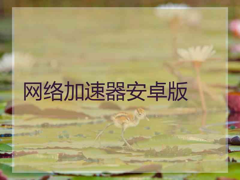 网络加速器安卓版