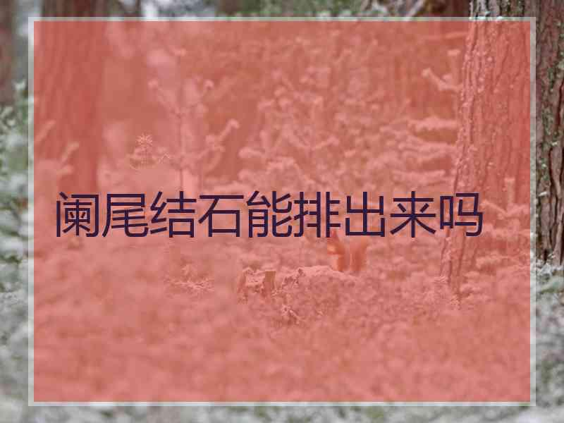 阑尾结石能排出来吗