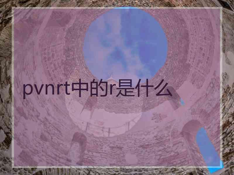 pvnrt中的r是什么