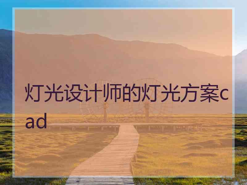 灯光设计师的灯光方案cad