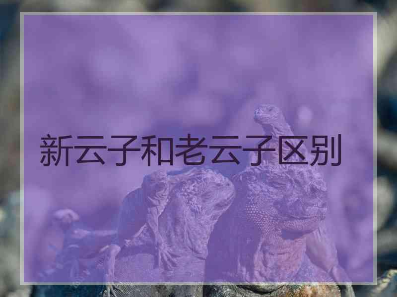 新云子和老云子区别