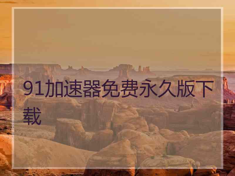 91加速器免费永久版下载