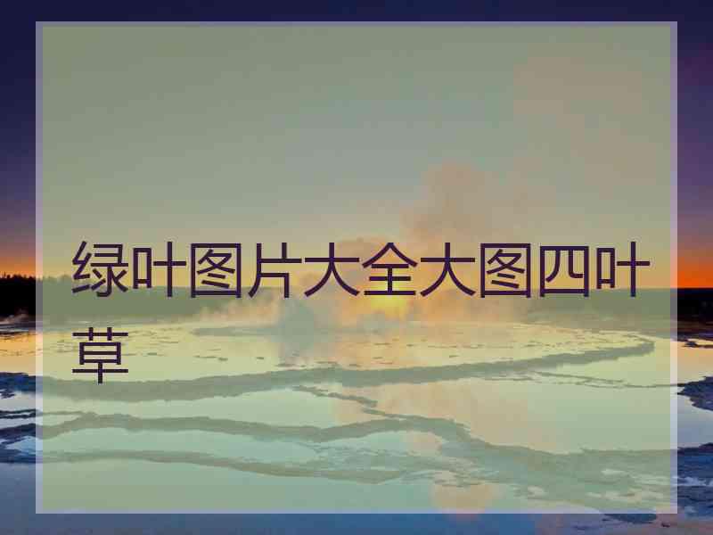 绿叶图片大全大图四叶草