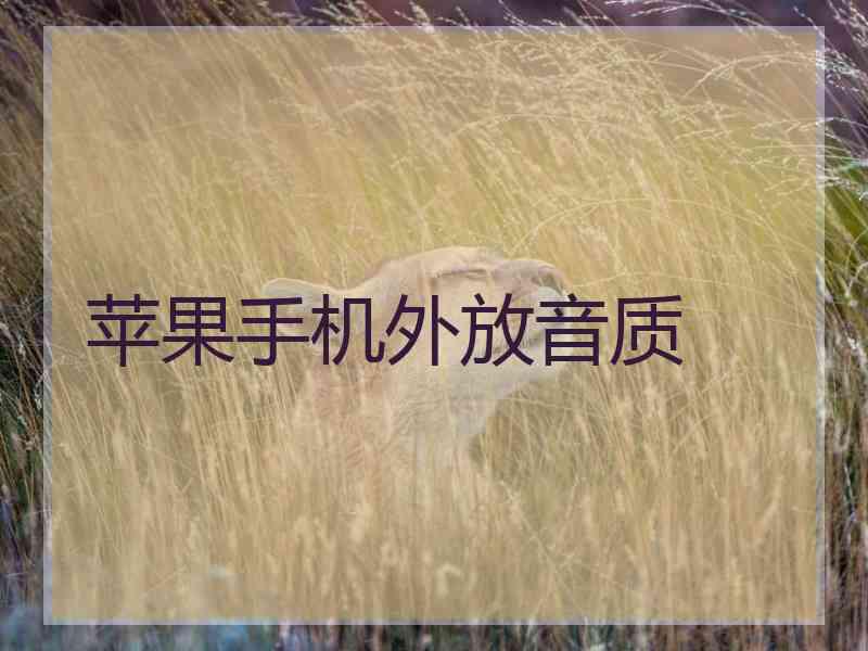苹果手机外放音质