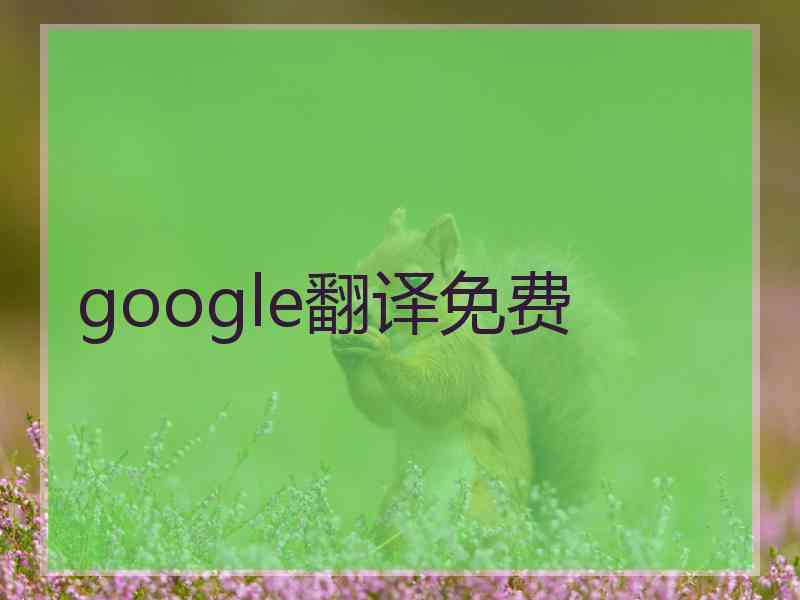 google翻译免费