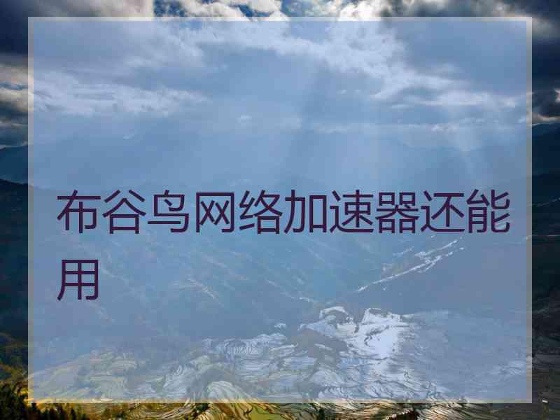 布谷鸟网络加速器还能用