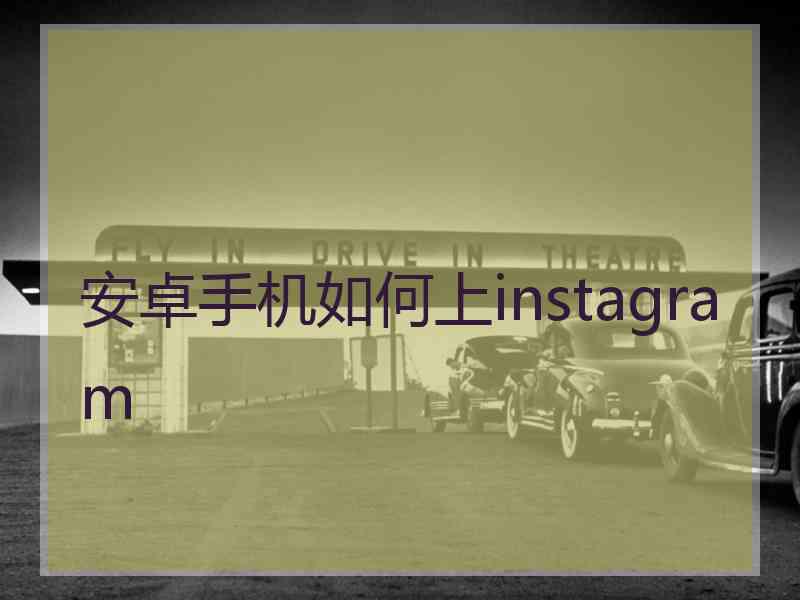 安卓手机如何上instagram