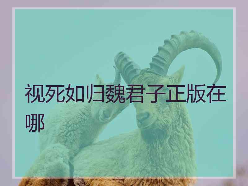 视死如归魏君子正版在哪