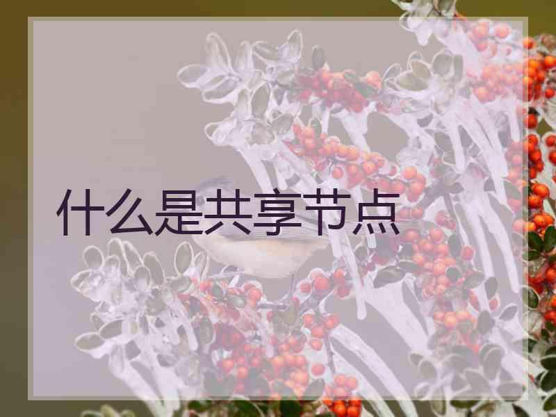 什么是共享节点
