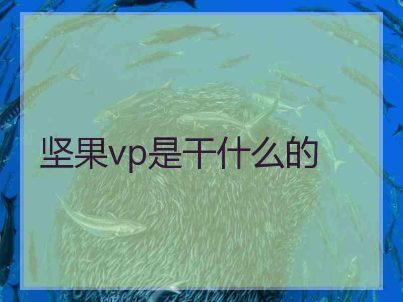 坚果vp是干什么的