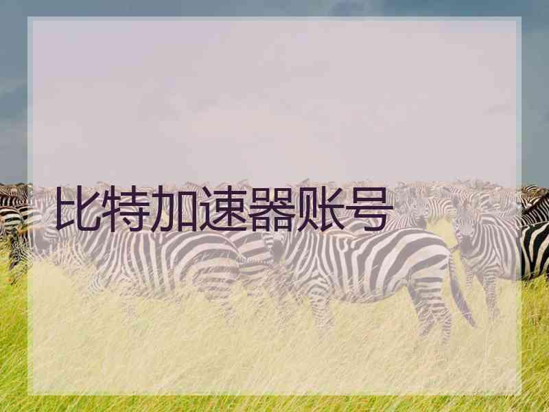 比特加速器账号