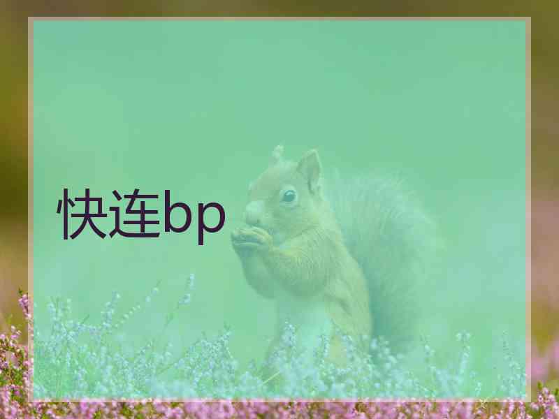 快连bp
