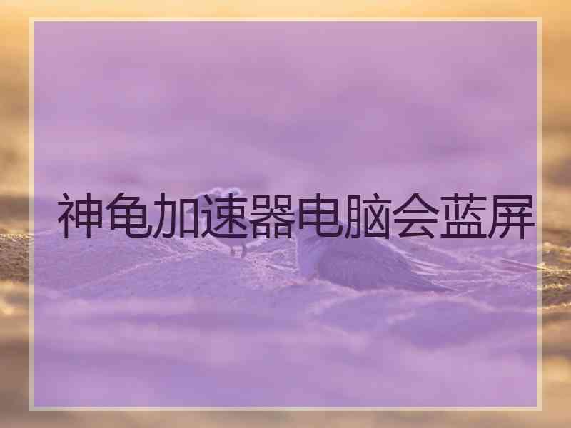 神龟加速器电脑会蓝屏
