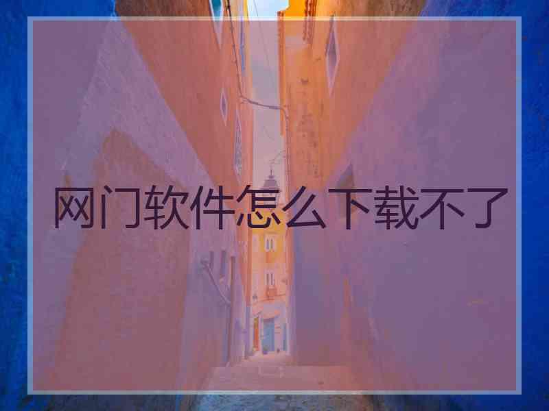 网门软件怎么下载不了