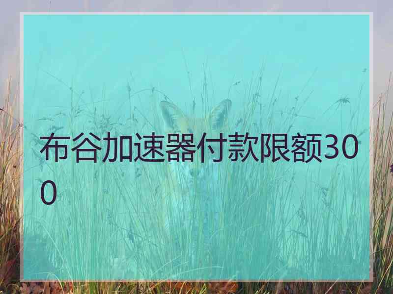 布谷加速器付款限额300