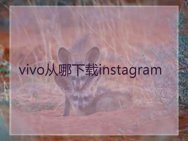 vivo从哪下载instagram