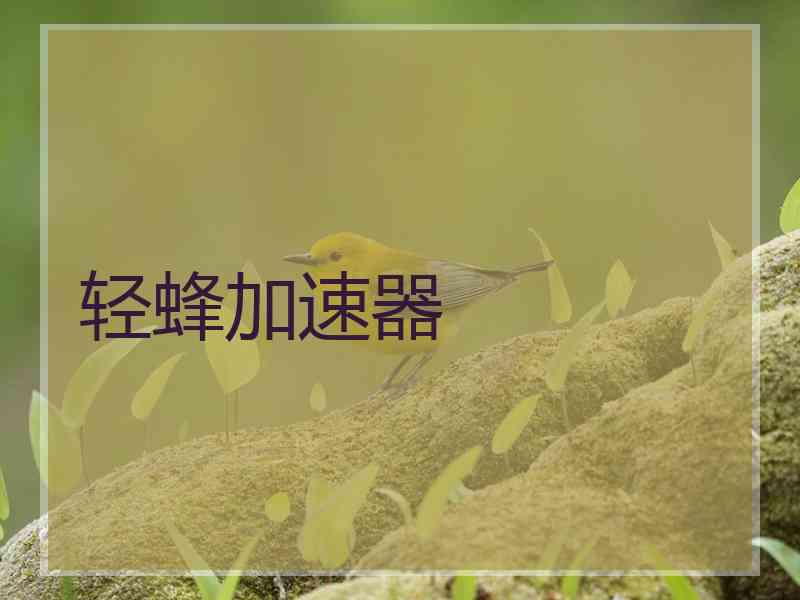 轻蜂加速器