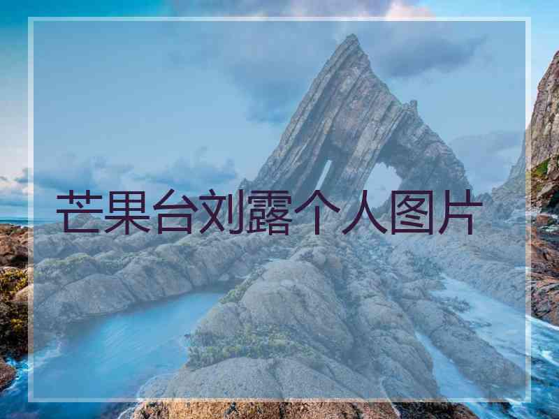 芒果台刘露个人图片