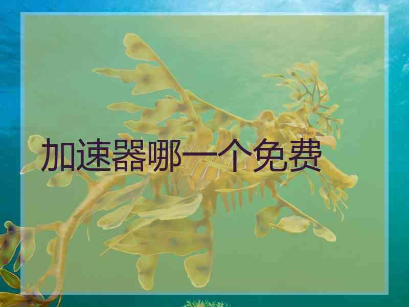 加速器哪一个免费