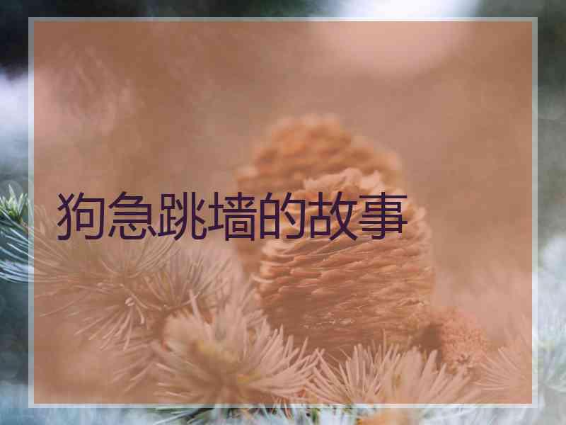 狗急跳墙的故事