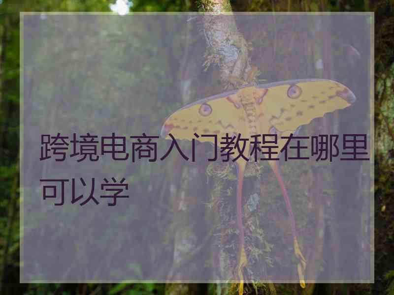 跨境电商入门教程在哪里可以学