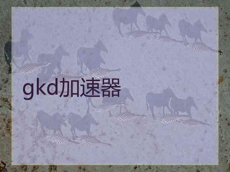 gkd加速器