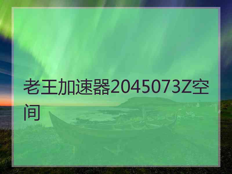 老王加速器2045073Z空间