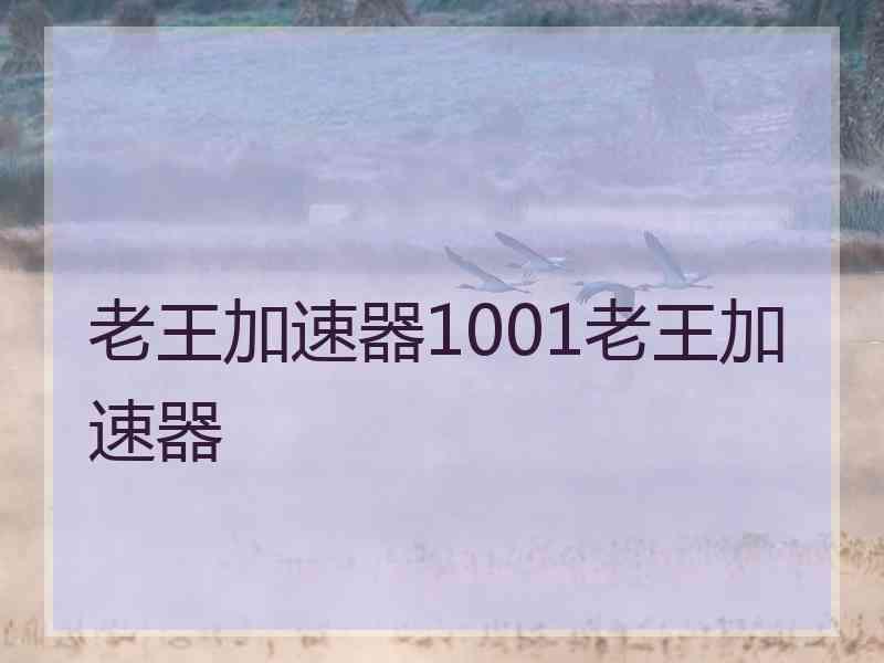 老王加速器1001老王加速器