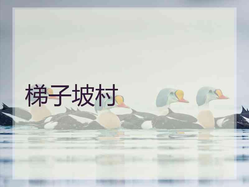 梯子坡村