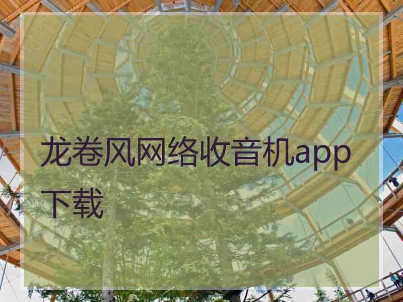 龙卷风网络收音机app下载