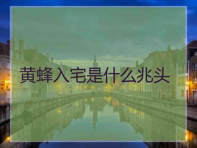 黄蜂入宅是什么兆头