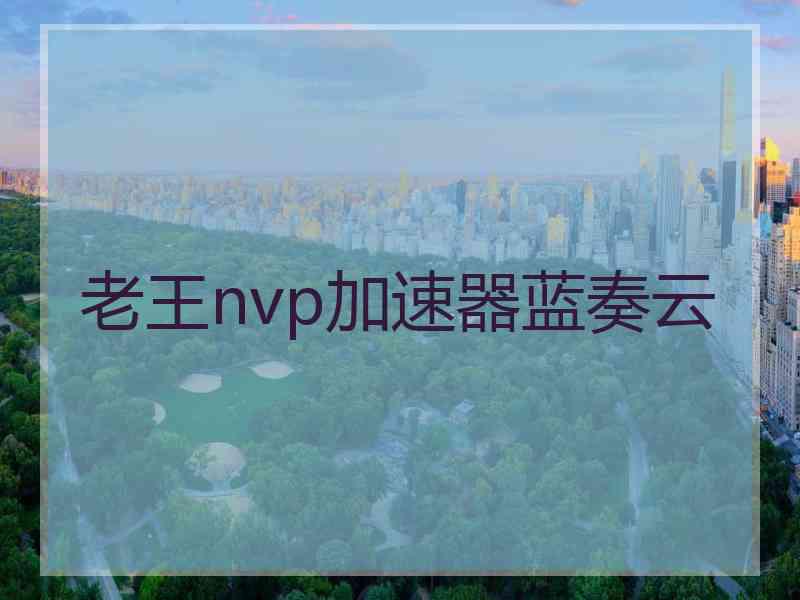 老王nvp加速器蓝奏云