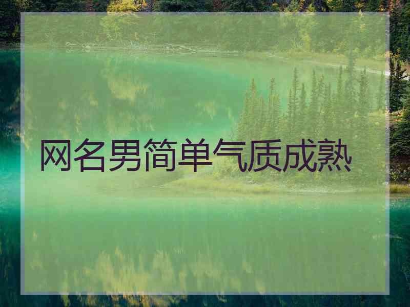 网名男简单气质成熟