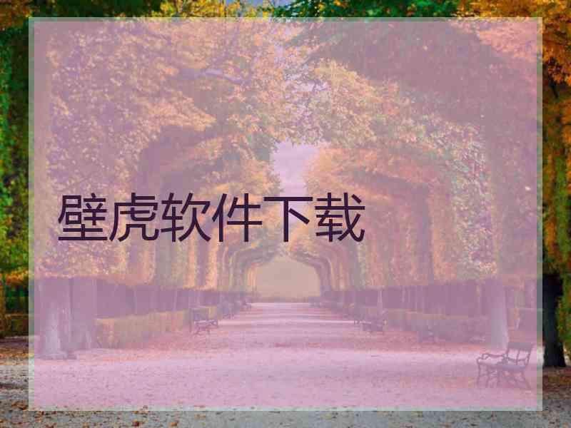 壁虎软件下载