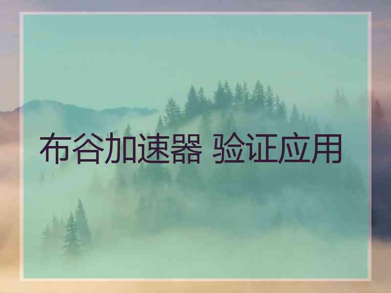 布谷加速器 验证应用