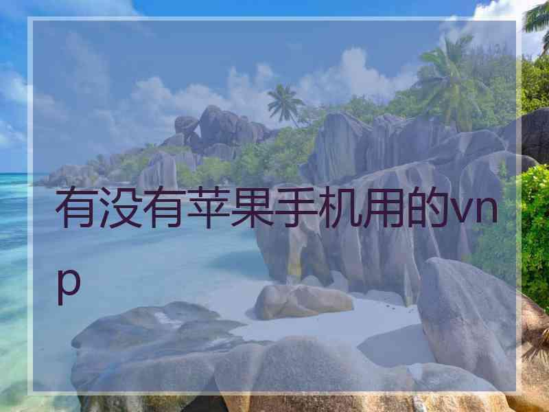 有没有苹果手机用的vnp