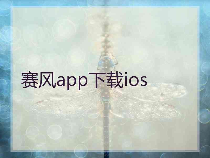 赛风app下载ios