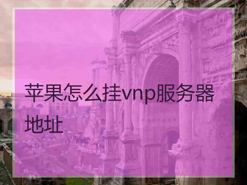 苹果怎么挂vnp服务器地址