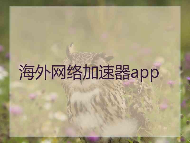 海外网络加速器app