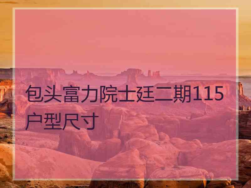 包头富力院士廷二期115户型尺寸